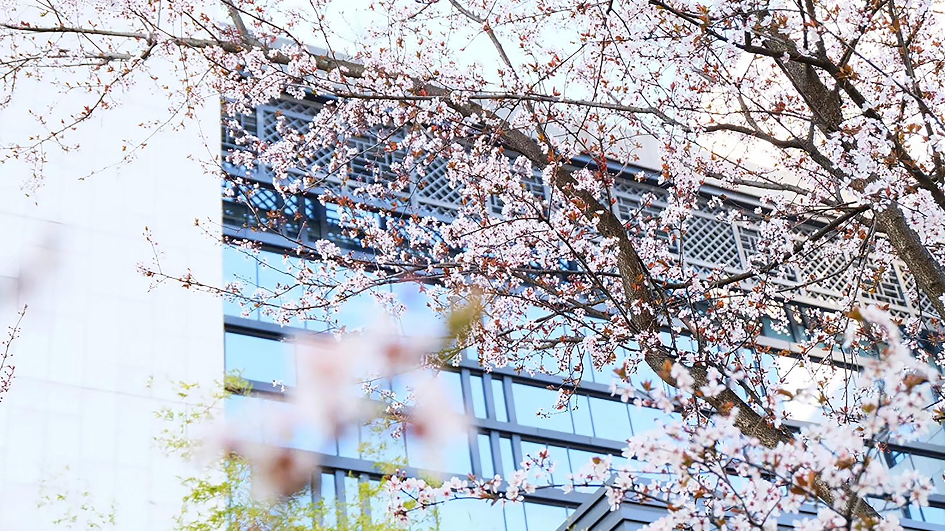 ホテル クラウン プラザ ホワンシャン ユーチョン 黄山 エクステリア 写真